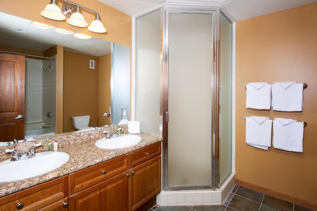 Standard One-Bedroom Apartment